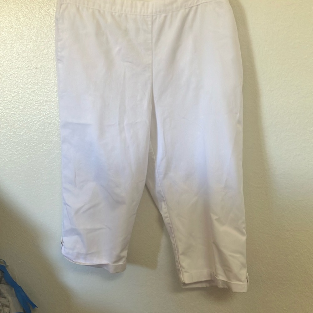 FINAL MARKDOWN Alfred Dunner capris 16